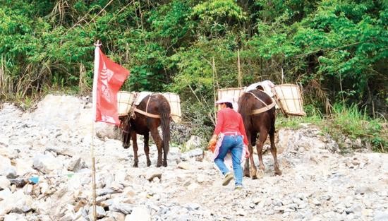 安徽騾子運(yùn)輸隊(duì)