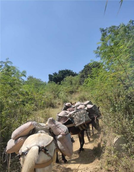 安徽馬幫運輸隊