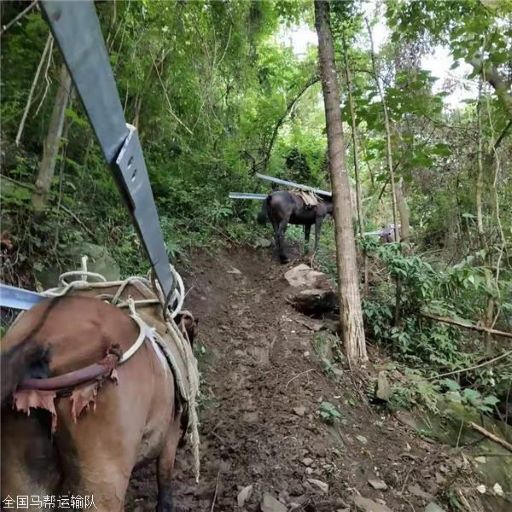 安徽馬幫運(yùn)輸