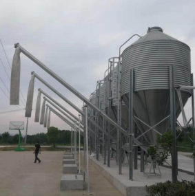 料塔的運(yùn)輸系統(tǒng)！你必須了解的知識(shí)！